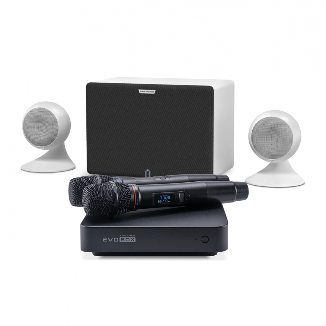 караоке-комплект EVOBOX Classic + EvoSound Sphere 2.1 в Златоусте