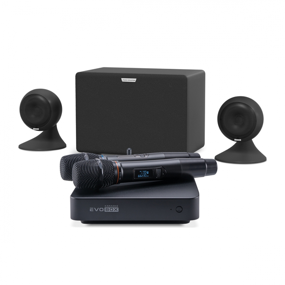 караоке-комплект EVOBOX Plus + EvoSound Sphere 2.1 в Златоусте