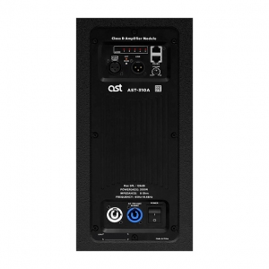 Активная акустическая система AST-310A в Златоусте