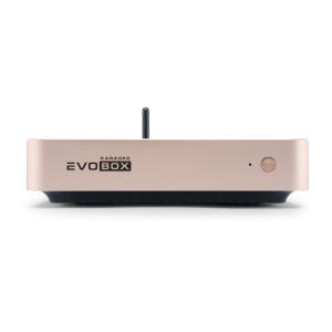 EVOBOX Classic караоке-система для дома в Златоусте