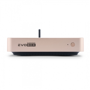 EVOBOX Plus караоке-система для дома в Златоусте