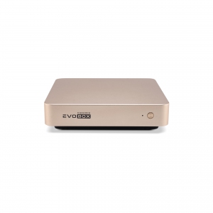EVOBOX с микрофонами в Златоусте